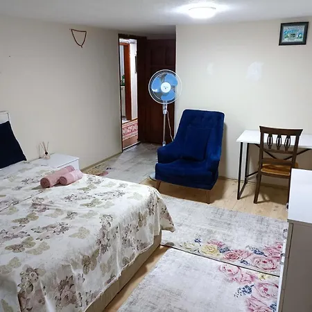 Habitación en casa particular Comfortable Estambul